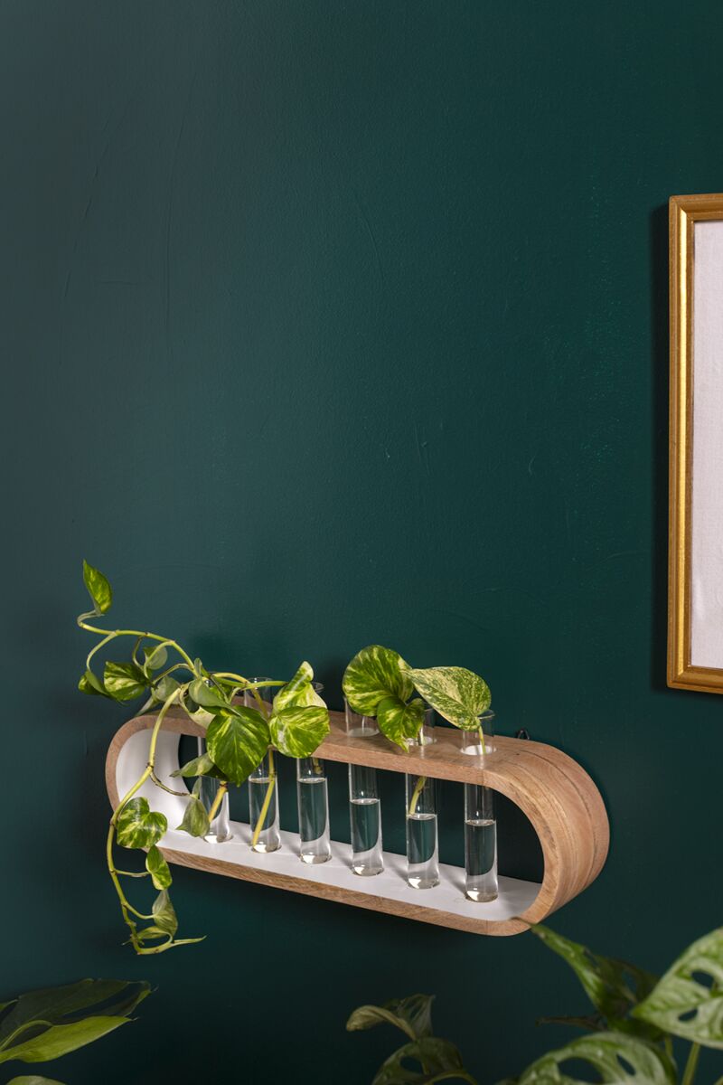 Kennedy Propagation Stand By Accent Decor | Vases | Modishstore - 3