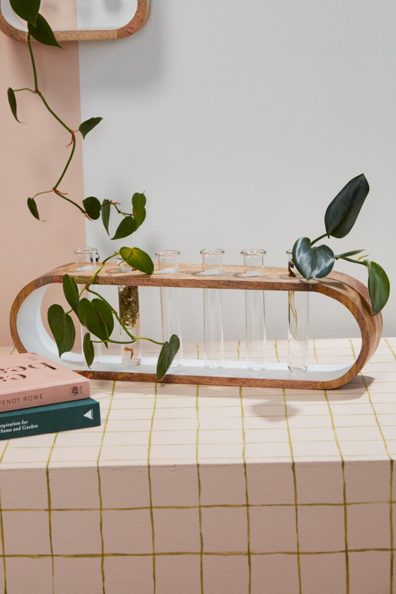 Kennedy Propagation Stand By Accent Decor | Vases | Modishstore - 2