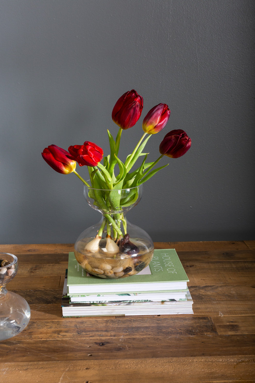Ashby Vase Set of 4 By Accent Decor | Vases | Modishstore - 7