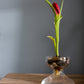 Ashby Vase Set of 4 By Accent Decor | Vases | Modishstore - 9