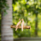Parasite Cotato Double Hanging Set of 4 By Garden Age Supply