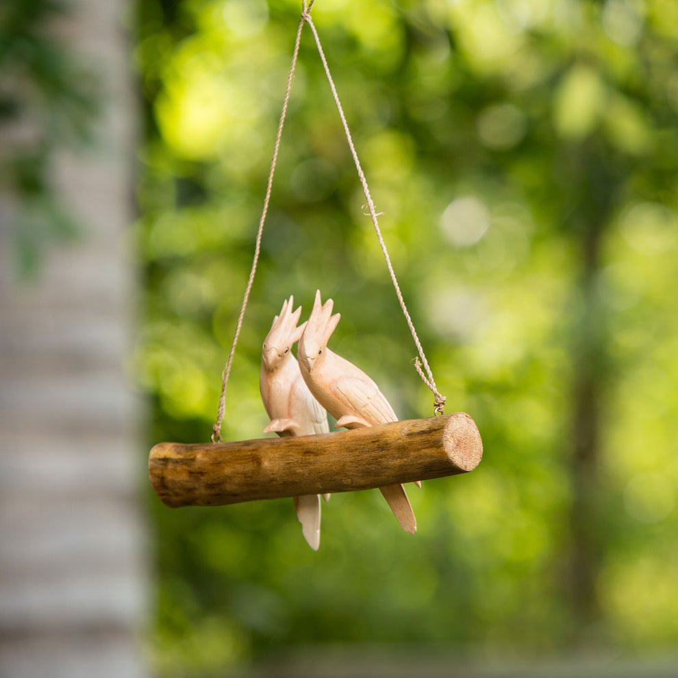 Parasite Cotato Double Hanging Set of 4 By Garden Age Supply | Sculptures | Modishstore - 4
