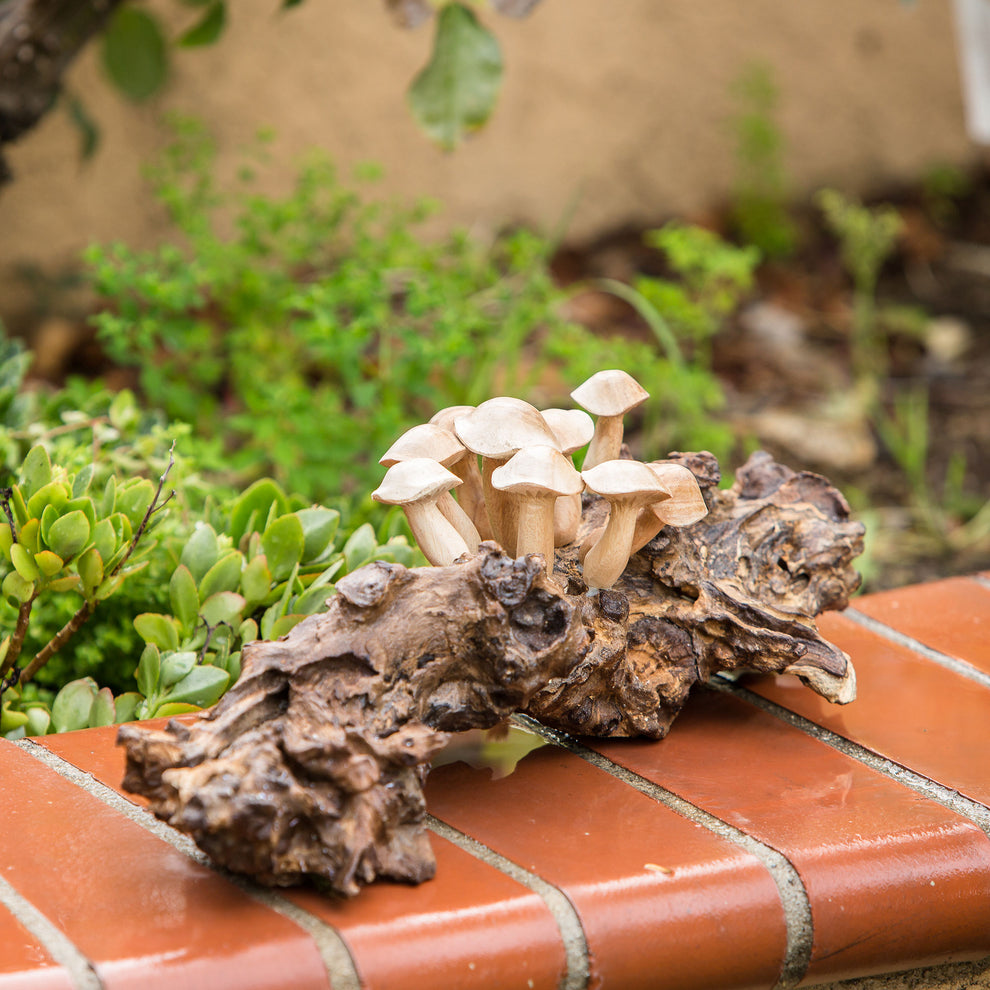Mushrooms on Teak Set of 4 By Garden Age Supply | Sculptures | Modishstore - 2