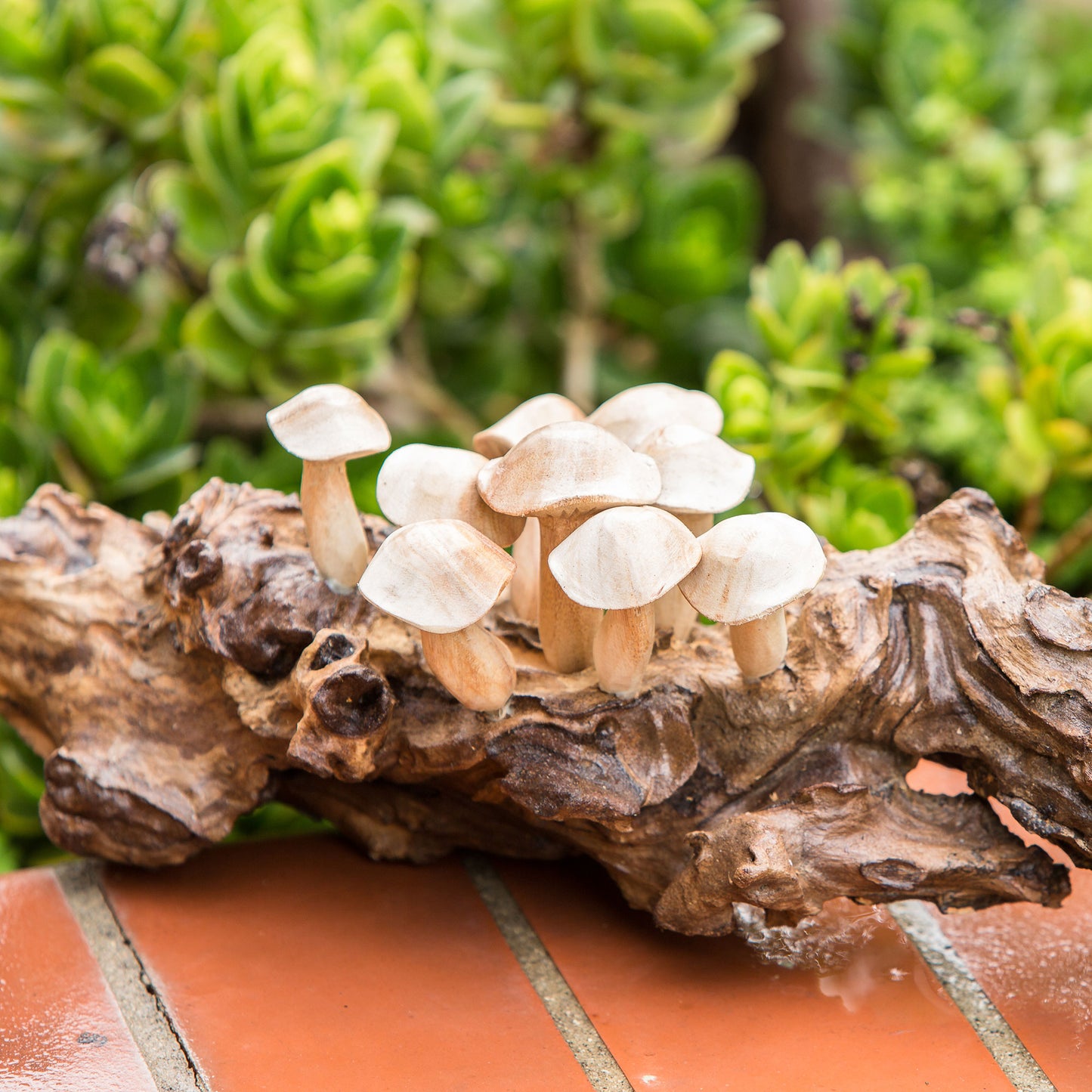 Mushrooms on Teak Set of 4 By Garden Age Supply