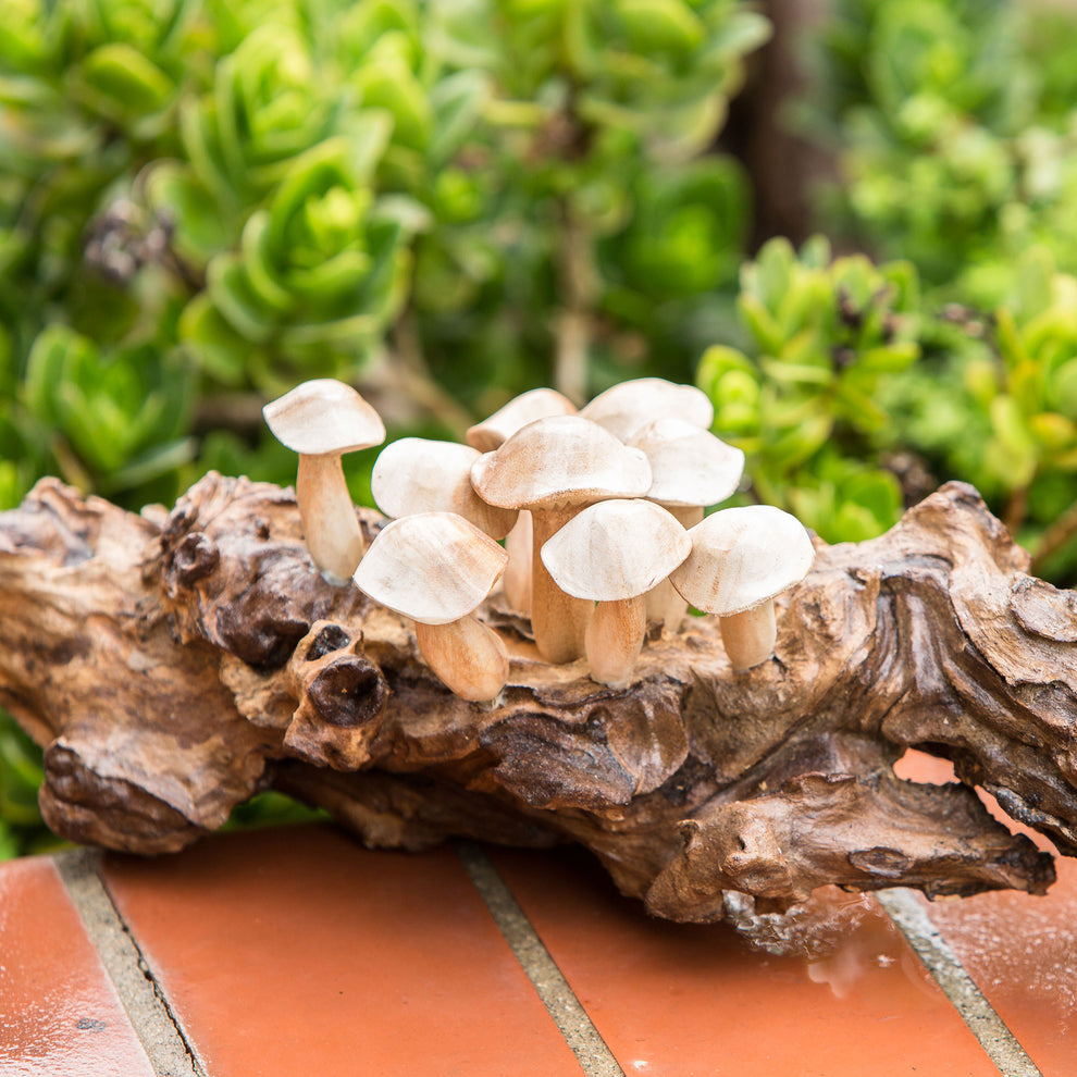 Mushrooms on Teak Set of 4 By Garden Age Supply | Sculptures | Modishstore - 3