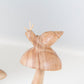 Parasite Snail on Mushrooms Set of 4 By Garden Age Supply