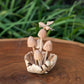 Parasite Bee on Mushrooms Set of 4 By Garden Age Supply