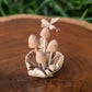 Parasite Bee on Mushrooms Set of 4 By Garden Age Supply