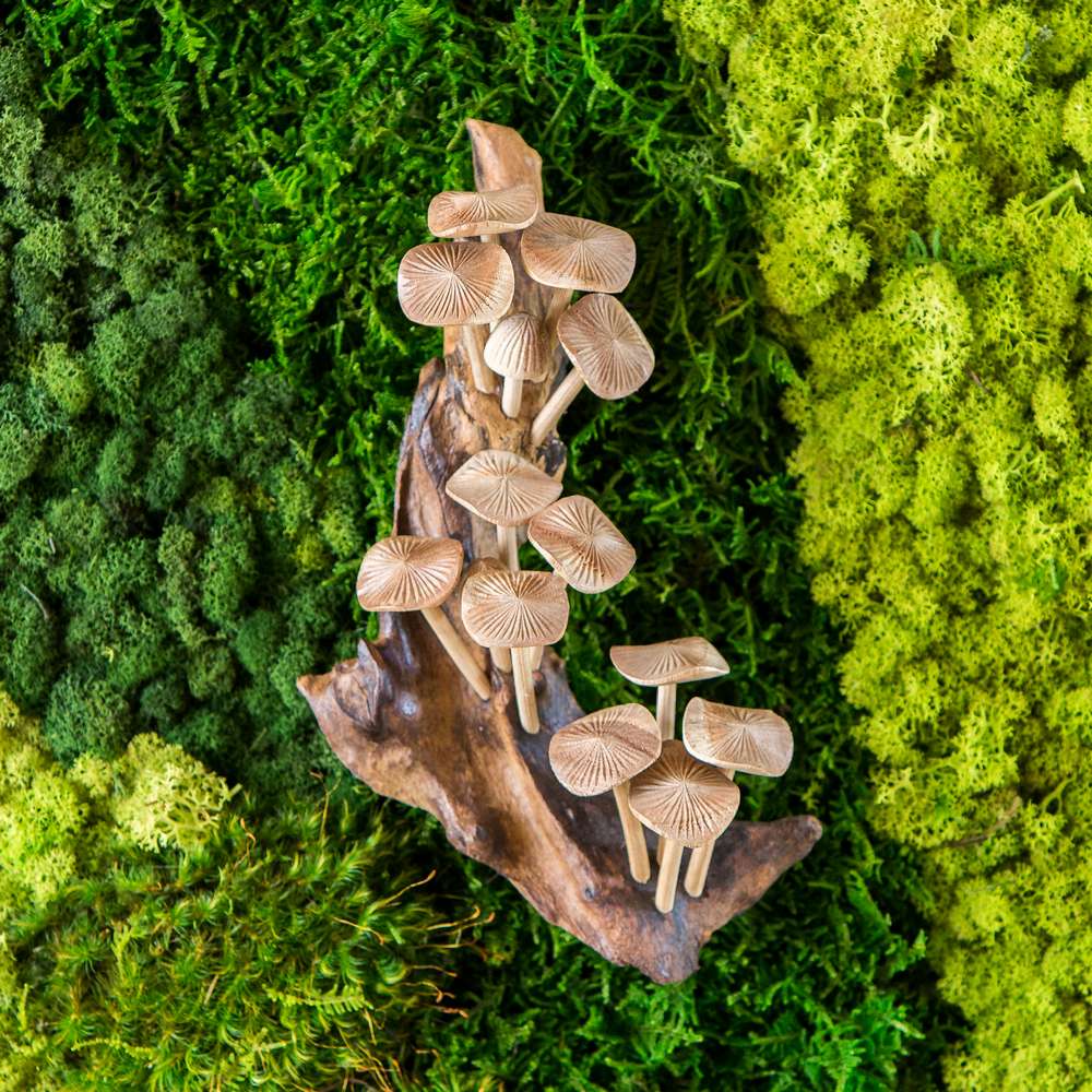 Parasite Oyster Mushrooms on Wall (Vertical) Set of 2 By Garden Age Supply | Sculptures | Modishstore - 1