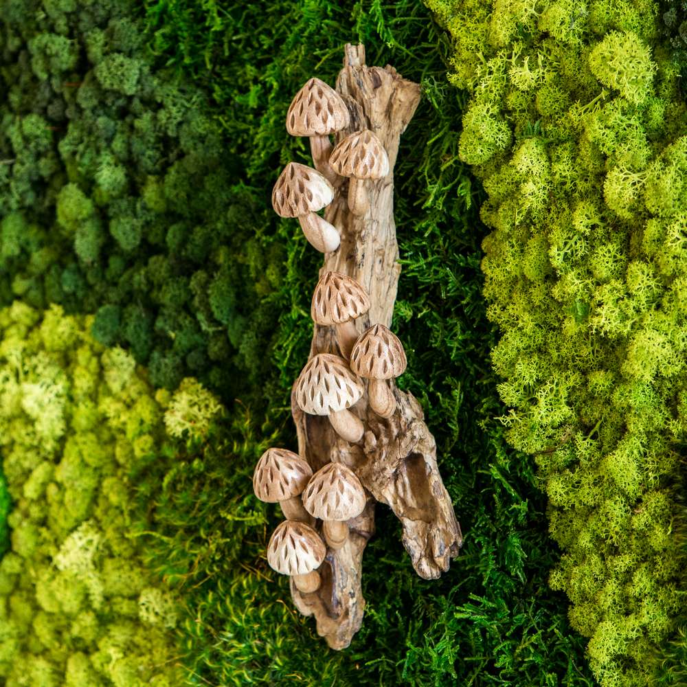 Parasite Forest Mushrooms on Wall Set of 4 By Garden Age Supply | Sculptures | Modishstore - 1