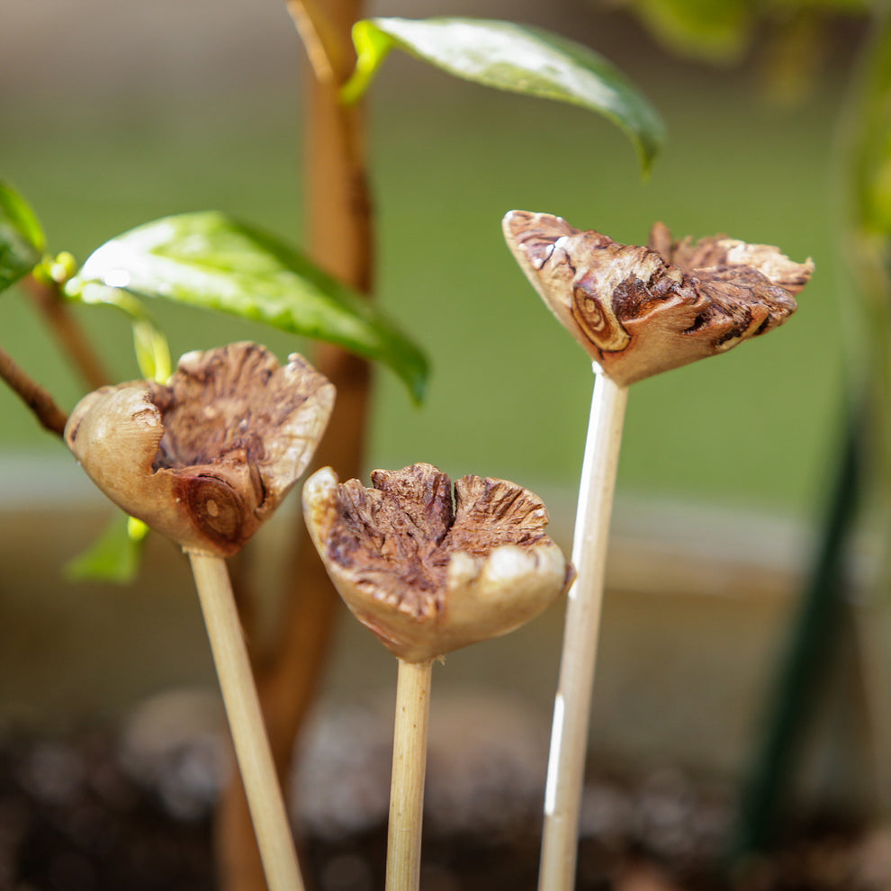 Parasite Flower Pot Stake - Pack of 12 Set of 3 By Garden Age Supply | Sculptures | Modishstore - 2