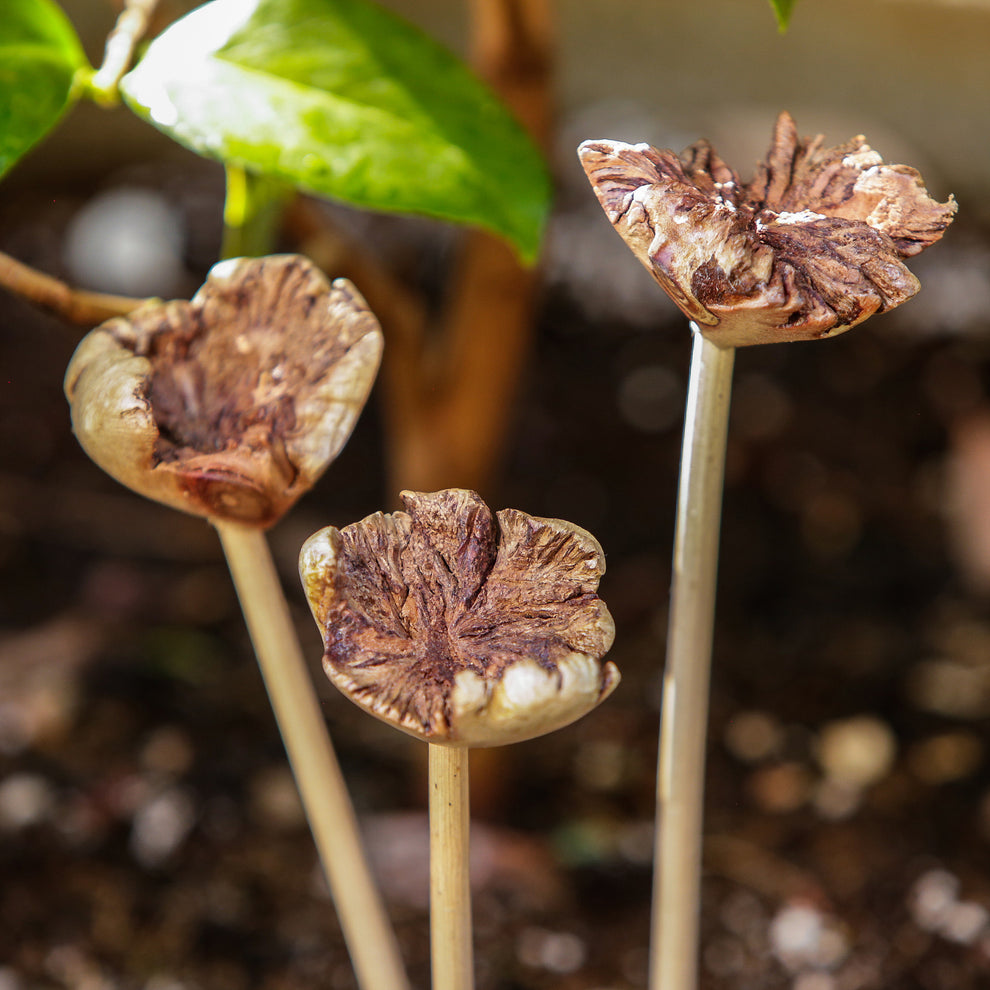 Parasite Flower Pot Stake - Pack of 12 Set of 3 By Garden Age Supply | Sculptures | Modishstore - 3