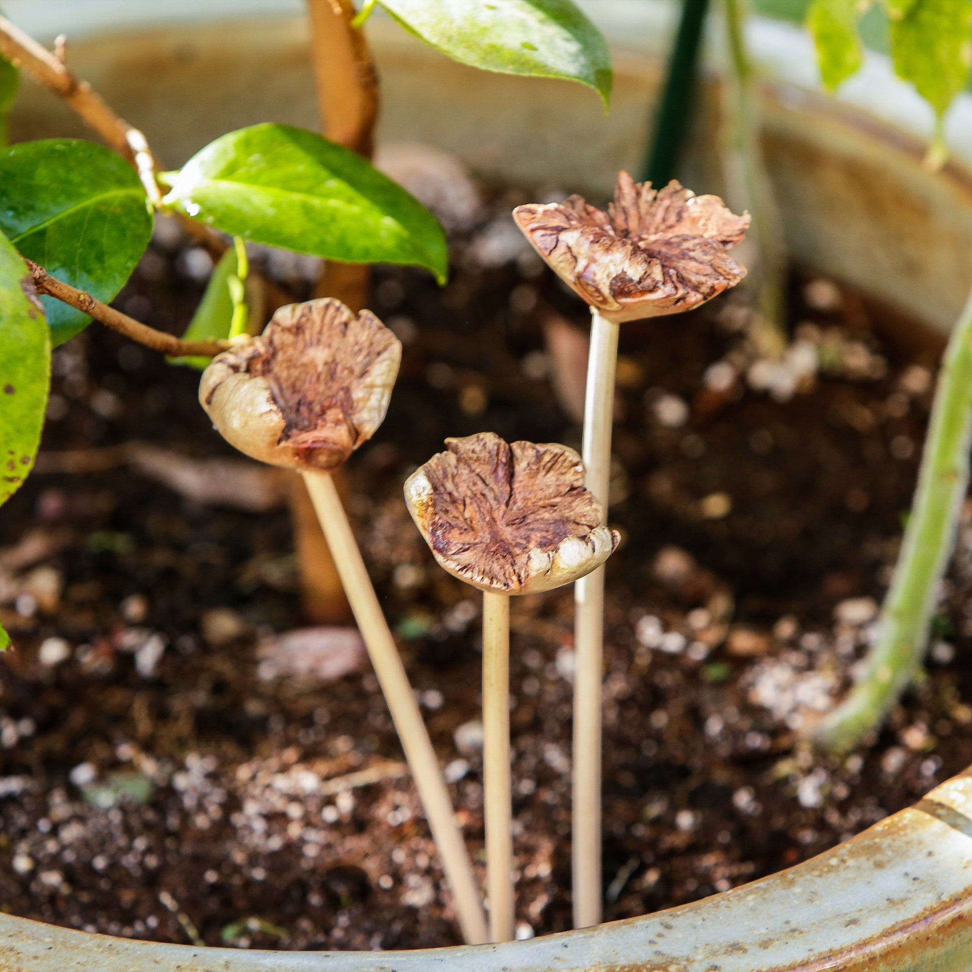 Parasite Flower Pot Stake - Pack of 12 Set of 3 By Garden Age Supply | Sculptures | Modishstore - 1