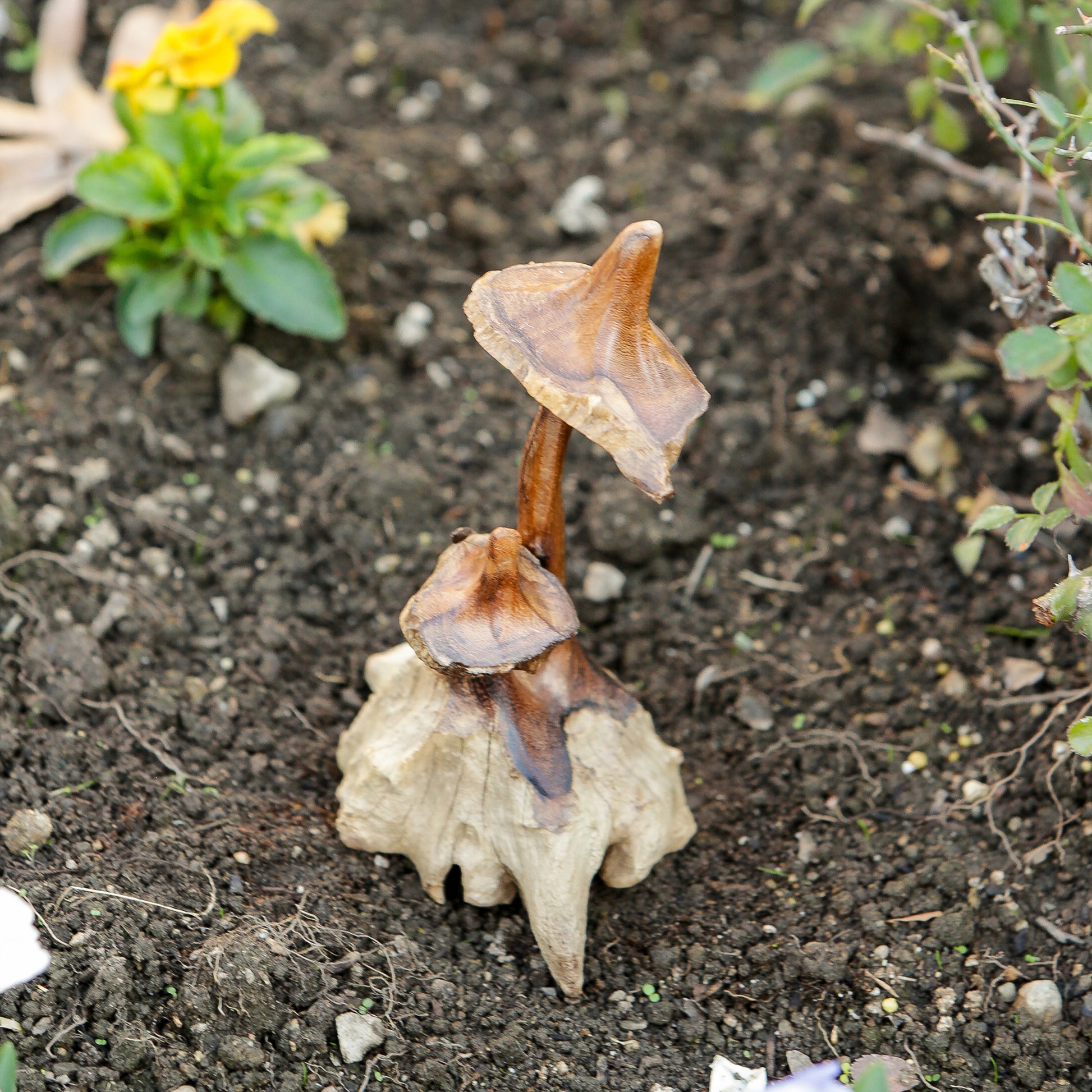 Witch's Hat Mushroom Set of 4 By Garden Age Supply | Sculptures | Modishstore - 1