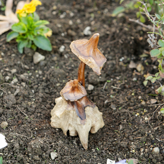 Witch's Hat Mushroom Set of 4 By Garden Age Supply | Sculptures | Modishstore - 1