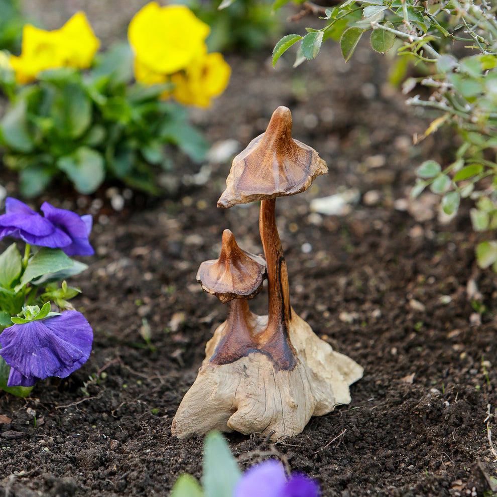 Witch's Hat Mushroom Set of 4 By Garden Age Supply | Sculptures | Modishstore - 2