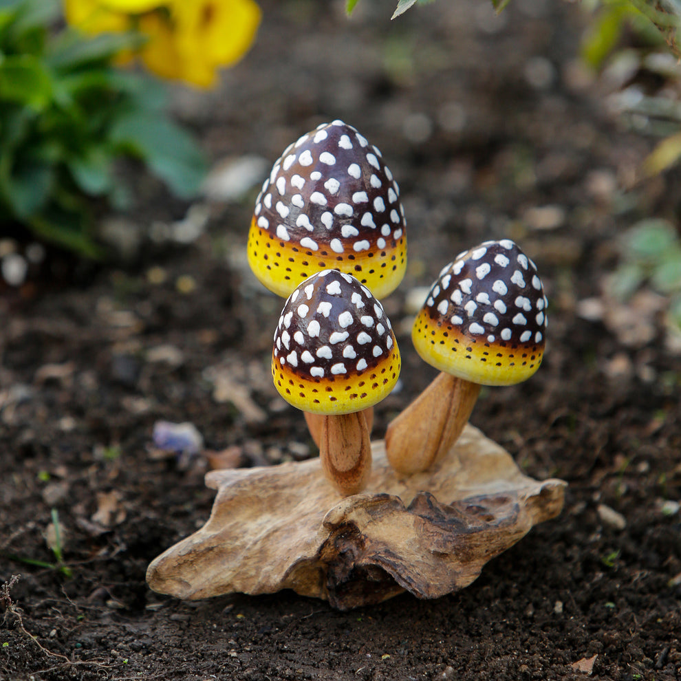 Parasite Pineapple Mushroom Set of 4 By Garden Age Supply | Sculptures | Modishstore - 3