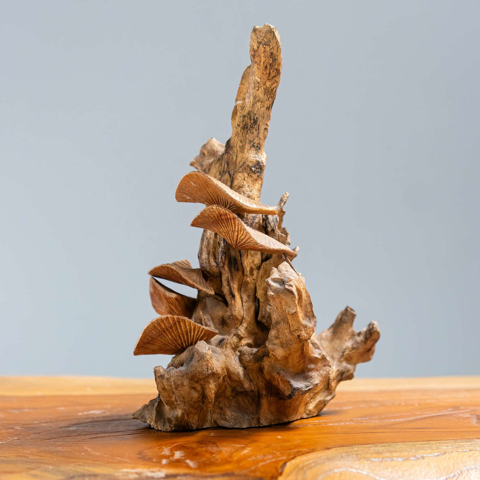 Parasite Turkey Tail Mushroom Set of 4 By Garden Age Supply | Sculptures | Modishstore - 3