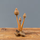 Parasite 3 Banana Mushrooms Set of 4 By Garden Age Supply