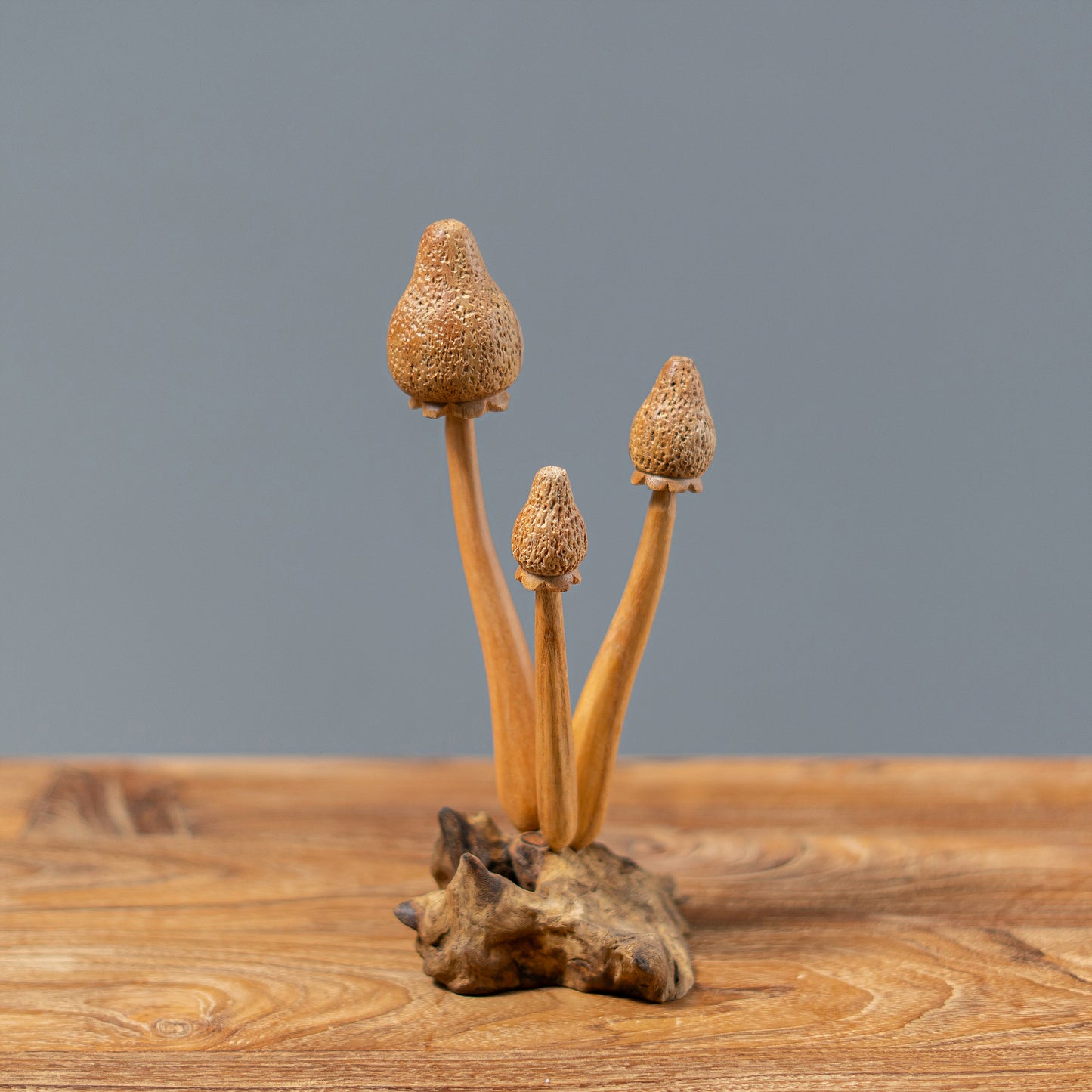 Parasite 3 Banana Mushrooms Set of 4 By Garden Age Supply
