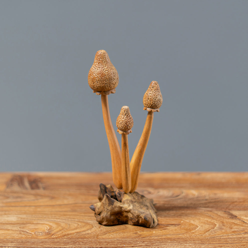 Parasite 3 Banana Mushrooms Set of 4 By Garden Age Supply | Sculptures | Modishstore - 2