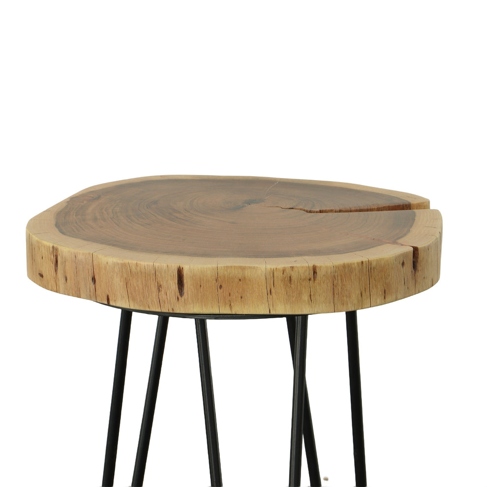Black Solid Wood And Iron Round End Table By Homeroots | End Tables | Modishstore - 4