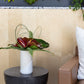 Lenne Collection Set of 4 By Accent Decor | Planters, Troughs & Cachepots | Modishstore - 7