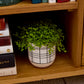 Merrick Mug - Set of 8 By Accent Decor | Planters, Troughs & Cachepots | Modishstore - 6