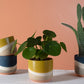 Colorway Collection Set of 8 By Accent Decor | Planters, Troughs & Cachepots | Modishstore - 6