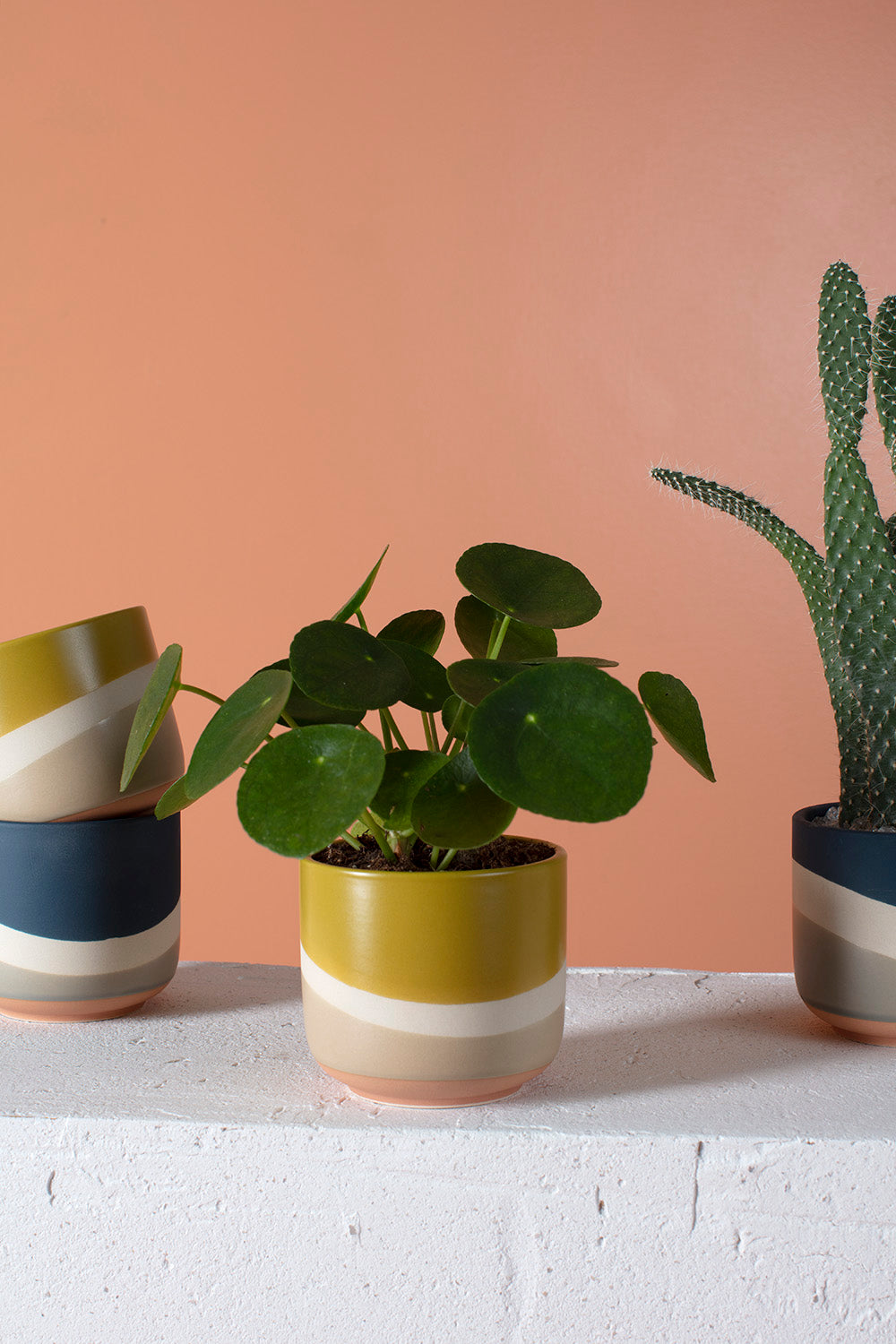 Colorway Collection Set of 8 By Accent Decor | Planters, Troughs & Cachepots | Modishstore - 6