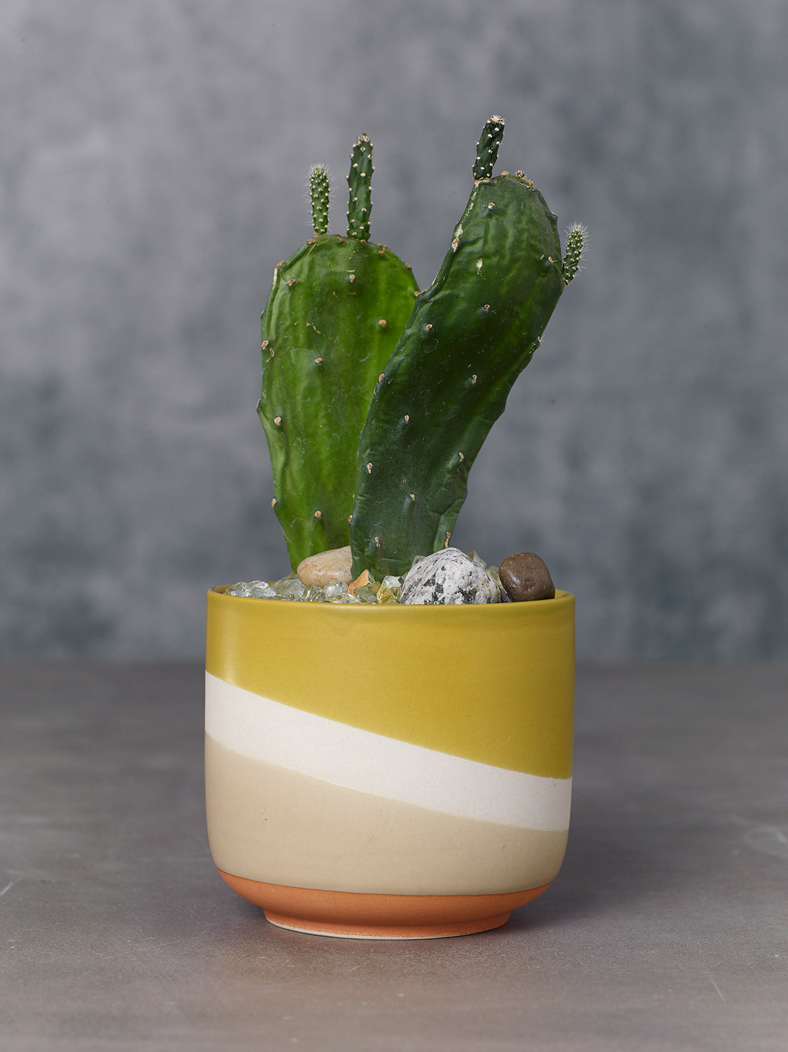 Colorway Collection Set of 8 By Accent Decor | Planters, Troughs & Cachepots | Modishstore - 7
