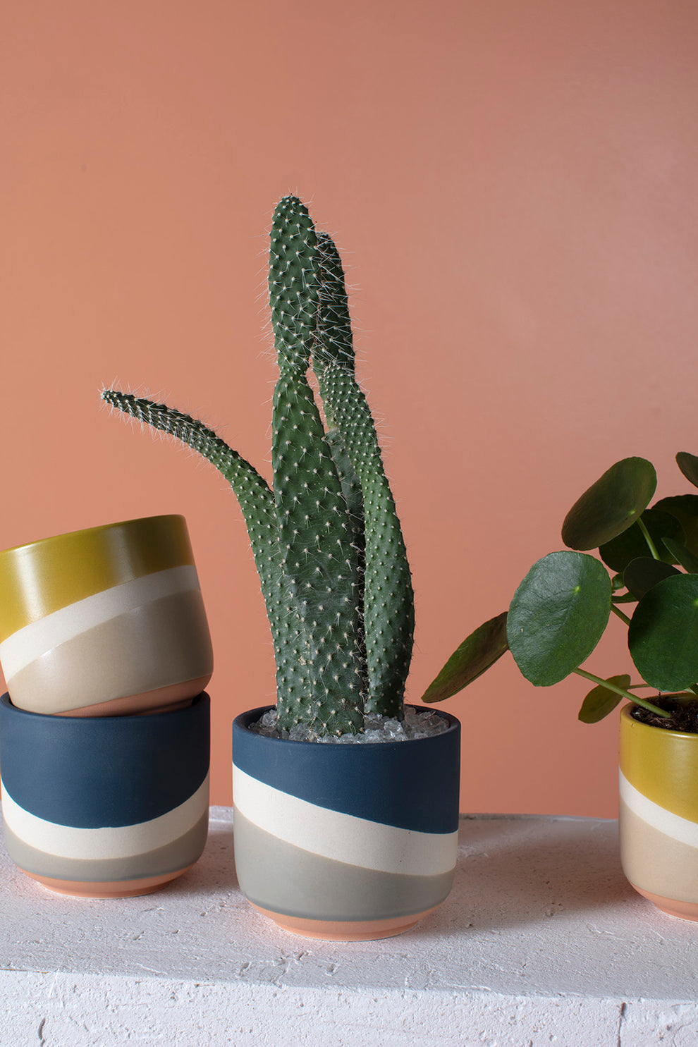 Colorway Collection Set of 8 By Accent Decor | Planters, Troughs & Cachepots | Modishstore - 9