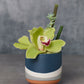 Colorway Collection Set of 8 By Accent Decor | Planters, Troughs & Cachepots | Modishstore - 10