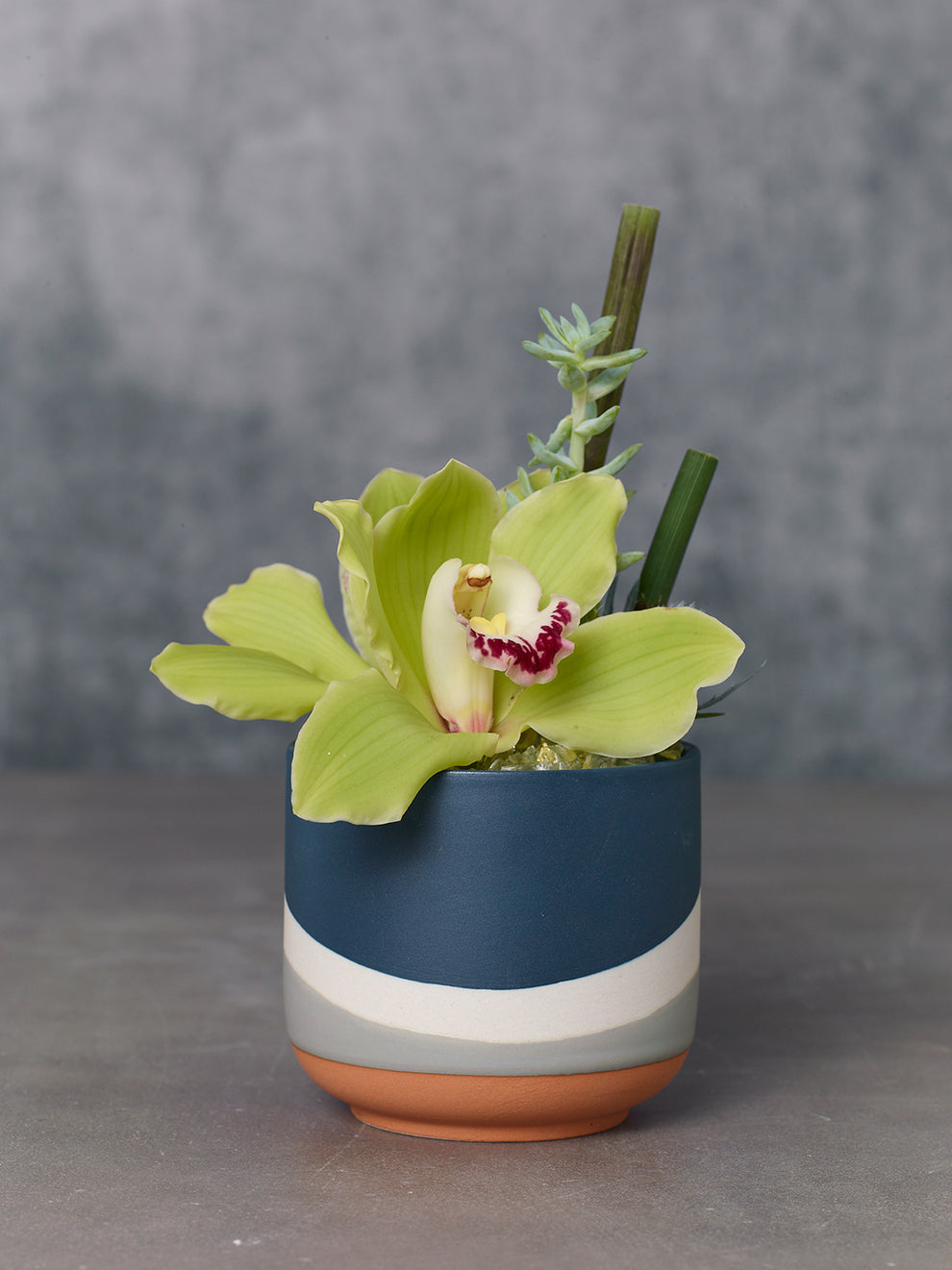 Colorway Collection Set of 8 By Accent Decor | Planters, Troughs & Cachepots | Modishstore - 10