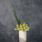 Colorway Collection Set of 8 By Accent Decor | Planters, Troughs & Cachepots | Modishstore - 13