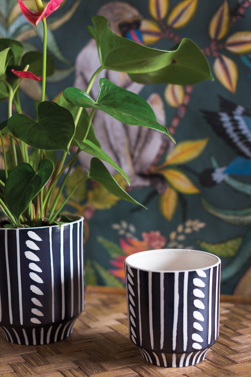 Ziva Pot Set of 4 By Accent Decor | Planters, Troughs & Cachepots | Modishstore - 9