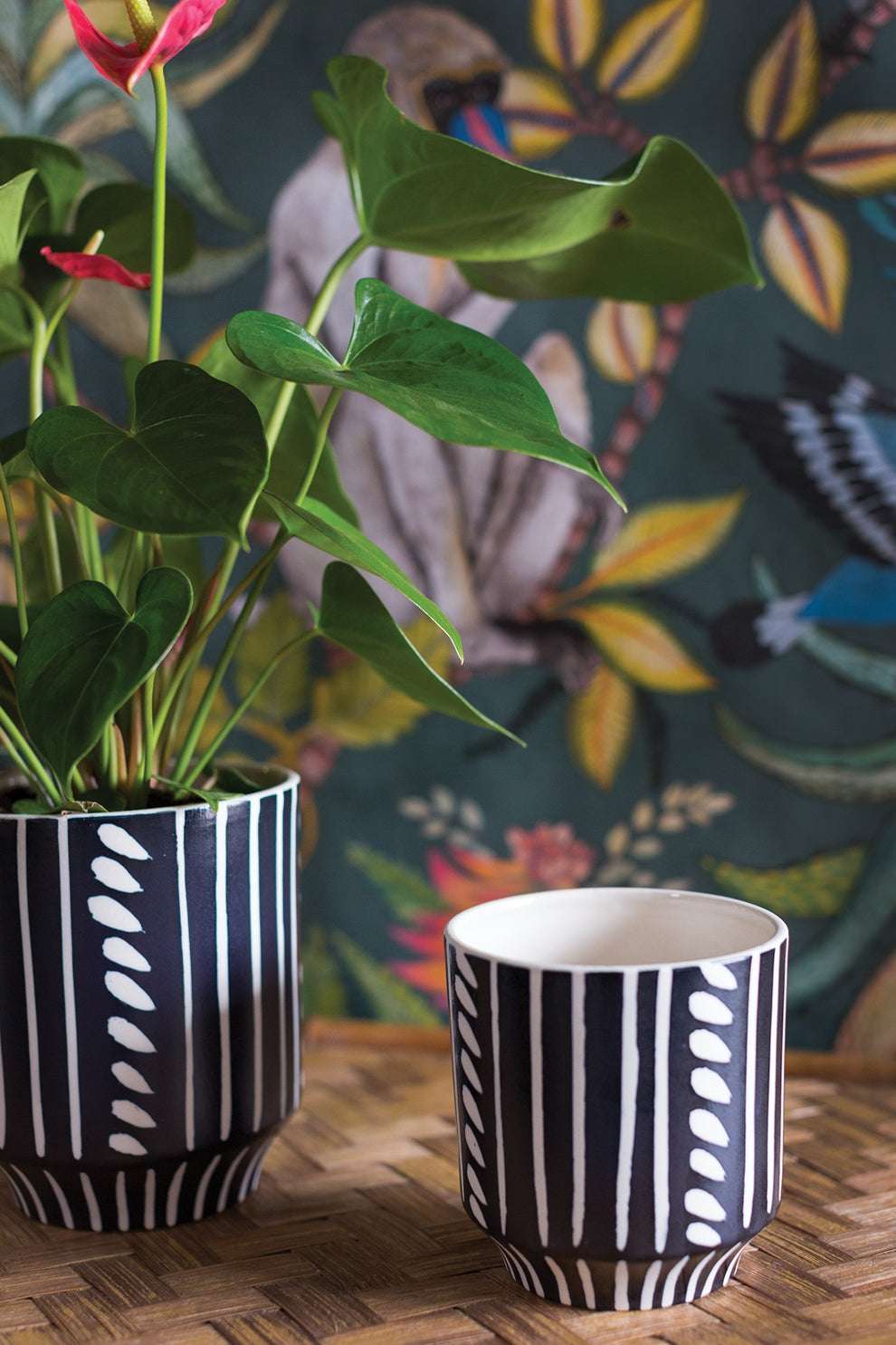 Ziva Pot Set of 4 By Accent Decor | Planters, Troughs & Cachepots | Modishstore - 9