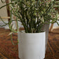 Triangles and Tatas Pot Set of 8 By Accent Decor | Planters, Troughs & Cachepots | Modishstore - 9