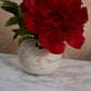 Divinity Collection Set of 8 By Accent Decor | Vases | Modishstore - 6