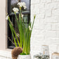 Treeline Collection Set of 8 By Accent Decor | Planters, Troughs & Cachepots | Modishstore - 7