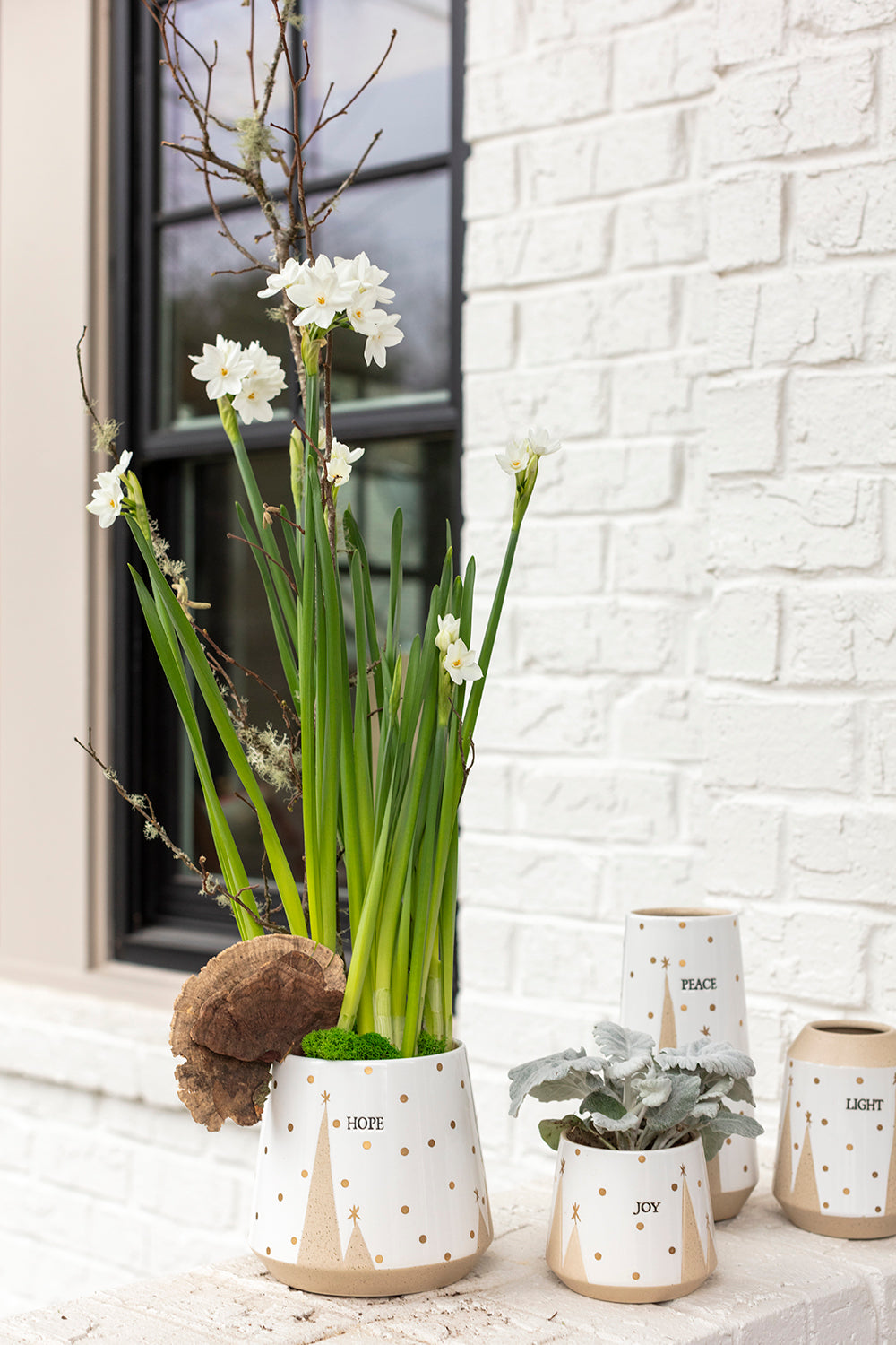 Treeline Collection Set of 8 By Accent Decor | Planters, Troughs & Cachepots | Modishstore - 7