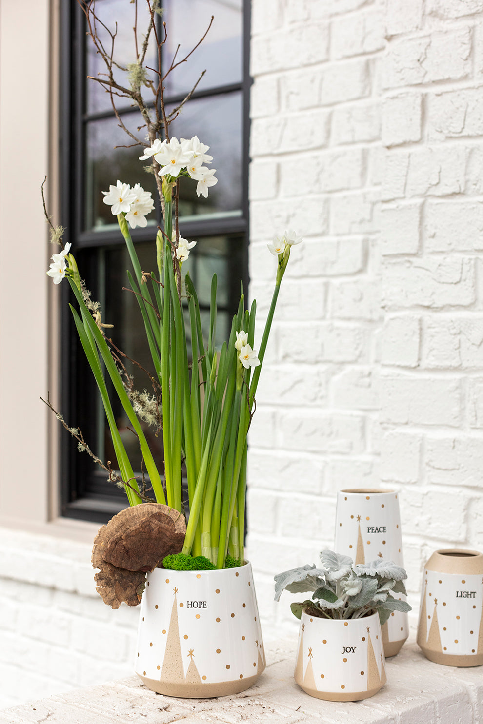 Treeline Collection Set of 8 By Accent Decor | Planters, Troughs & Cachepots | Modishstore - 7
