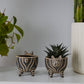 Puppy Love Planter Set of 4 By Accent Decor | Planters, Troughs & Cachepots | Modishstore - 6