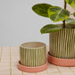 Melancia Pot with Saucer Set of 4 By Accent Decor | Planters, Troughs & Cachepots | Modishstore - 4