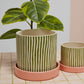 Melancia Pot with Saucer Set of 4 By Accent Decor | Planters, Troughs & Cachepots | Modishstore - 6