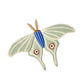 Sculpted Moth Wall Art Set of 2 By Accent Decor | Wall Art | Modishstore - 8