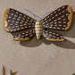 Sculpted Moth Wall Art Set of 2 By Accent Decor | Wall Art | Modishstore - 7