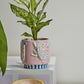 Wild Tails Pot Set of 4 By Accent Decor | Planters, Troughs & Cachepots | Modishstore - 4