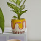 Wild Tails Pot Set of 4 By Accent Decor | Planters, Troughs & Cachepots | Modishstore - 6