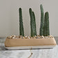 Dublin Planter with Saucer By Accent Decor | Planters, Troughs & Cachepots | Modishstore - 11